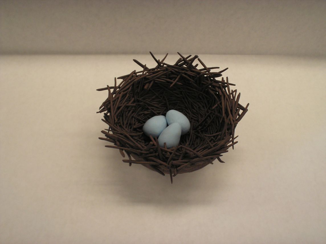 Amanda Caryn Jobbins, Nest